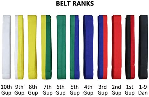 Taekwondo Belt Order Poster - Image 4